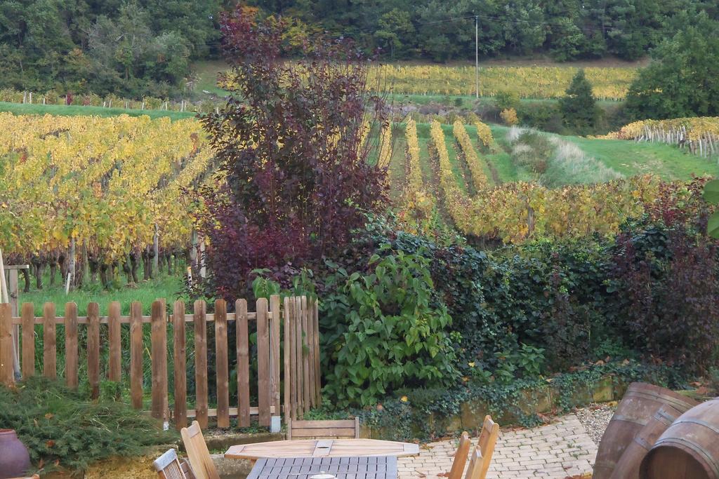 La Petite Madeleine Hotel Castillon-la-Bataille Kültér fotó