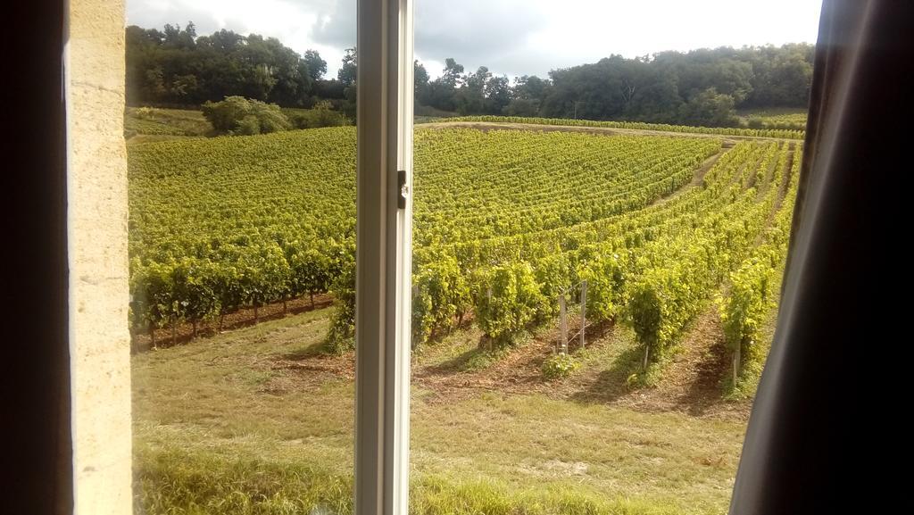 La Petite Madeleine Hotel Castillon-la-Bataille Kültér fotó