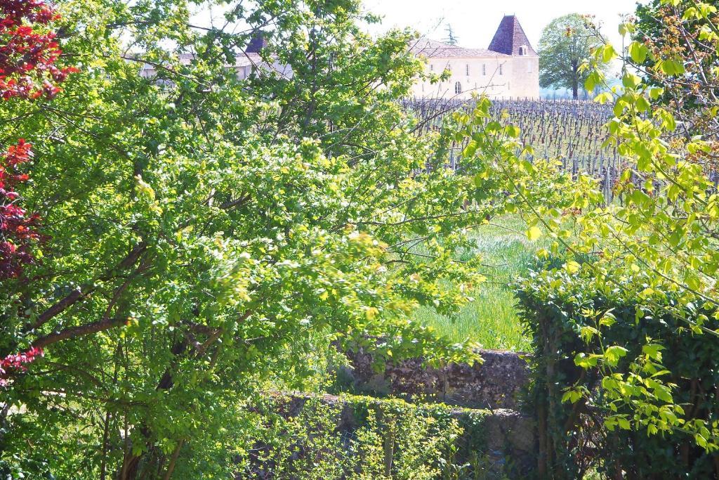 La Petite Madeleine Hotel Castillon-la-Bataille Kültér fotó