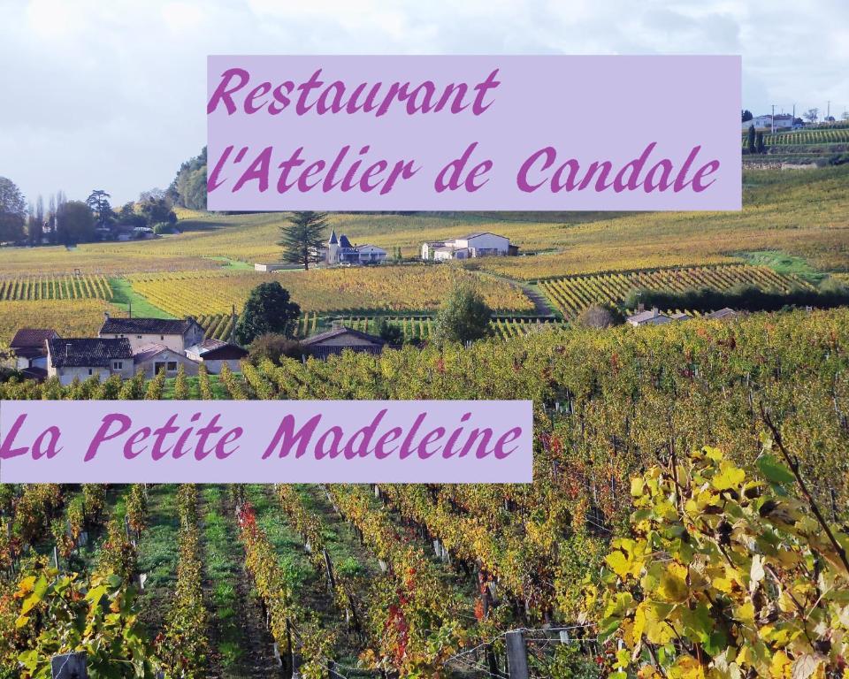 La Petite Madeleine Hotel Castillon-la-Bataille Kültér fotó